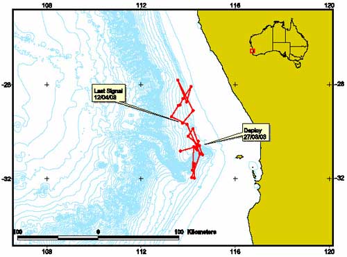 Track of blue whale tagged at Perth Canyon. Tag duration 16 days, 27/03/2003 to 12/04/2003 (CWR/AAD unpublished data).