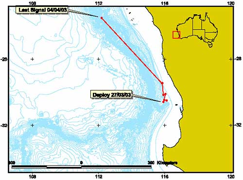 Track of female sighted with calf in the previous season. Tag duration 8 days, 27/03/2003 to 04/04/2003 (CWR/AAD unpublished data).