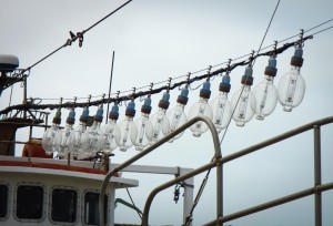 Glass lanterns strung above the foredeck of the squid fishing vessel. Photo credit M.Jenner