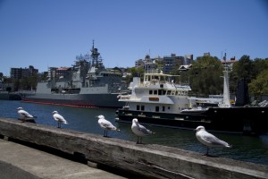 Whale Song brings colour next to the ANZAC and FGG in Woolloomooloo. Photo credit I.Ford