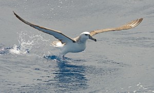 Photo credit M.Jenner