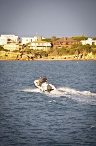 Photo credit M.Jenner