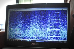 Photo credit M.Jenner