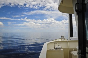 Photo credit M.Jenner