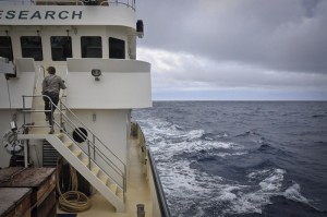 Photo credit M.Jenner