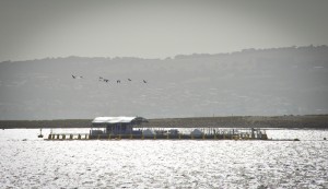 Photo credit M.Jenner