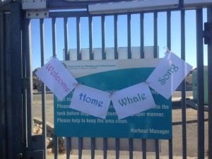 A sweet welcome home message from Carrie on the inside of our gate. Photo credit I. Ford