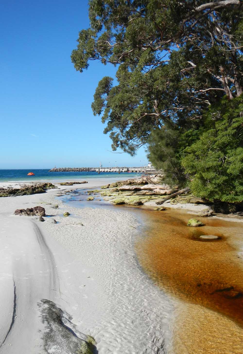 The well-photographed creek separating HMAS Creswell from Hyams Beach. Photo credit M. Jenner