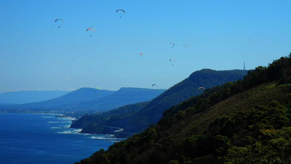 Paragliders and hanggliders in perfect wind conditions at Bald Hill, NSW. Photo credit M. Jenner