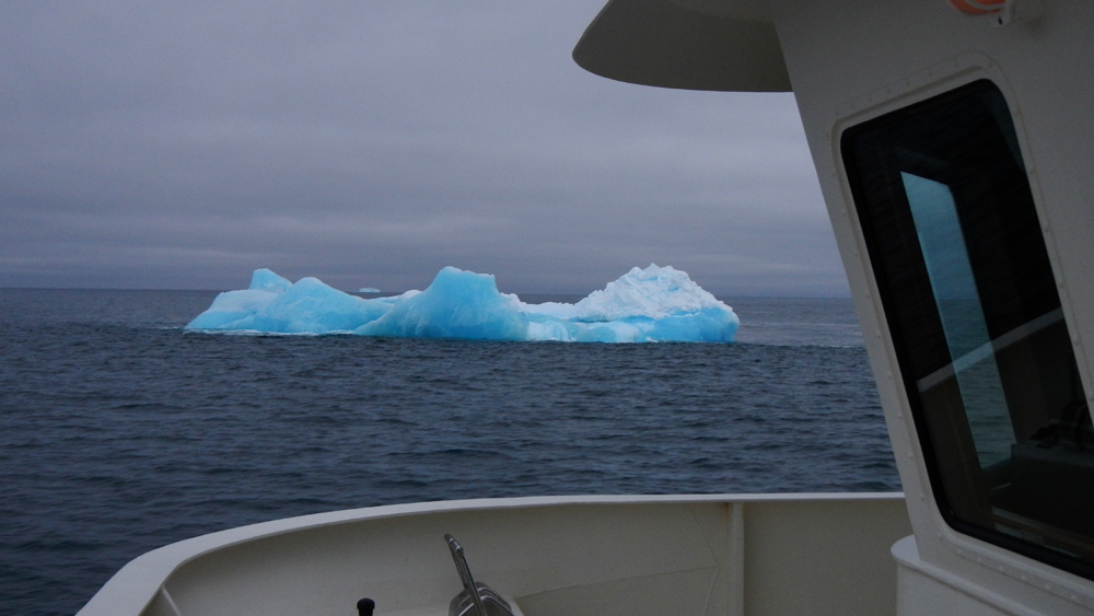A blue iceberg at 2am in the morning! Were Sam and I seeing things? Photo credit M. Jenner