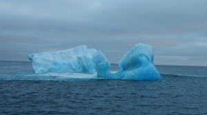 A blue iceberg seen at 2am in the morning! The lack of bubbles in the ice causes the blue coloration. Photo credit M. Jenner