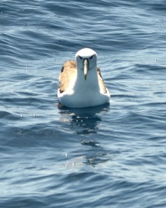 So angry! “Who peed on your cornflakes this morning?” Photo credit M. Jenner