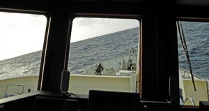 The Southern Ocean gives us a run for our money – 8 m swells give us a different view on life! Photo credit M. Jenner