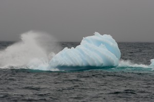As we travelled passed an iceberg, a piece broke from the left side -  Photo credit M. Jenner