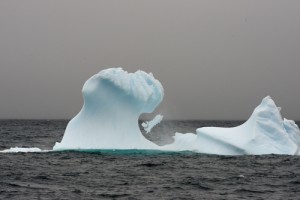 In less than 2 minutes, before our eyes this iceberg changed radically! Photo credit M. Jenner