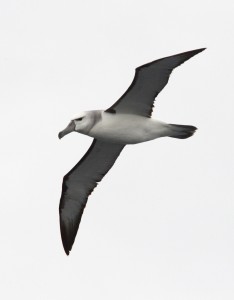 Photo credit M.Jenner