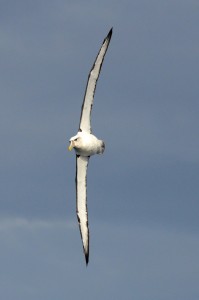 Photo credit M.Jenner