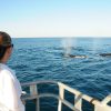 Frolicking at Frost Shoal!