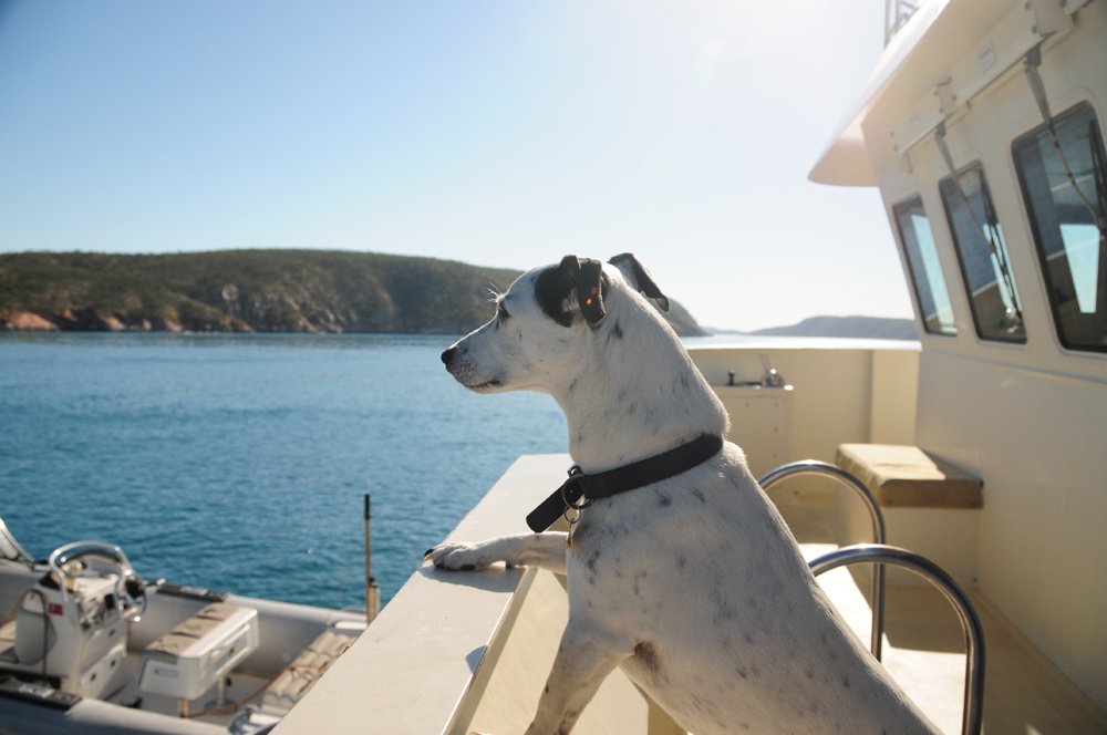 Skip does the Buccaneer Archipelago on his Thomas Cook cruise!