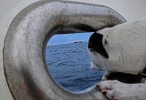 Photo credit M.Jenner