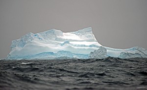 Icebergs are spectacular due to their unique shapes – another one fills the frame! Photo credit M. Jenner