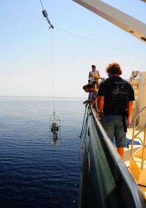 Photo credit M. Jenner