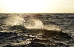 Waves at sunset – my favourite! Photo credit M. Jenner