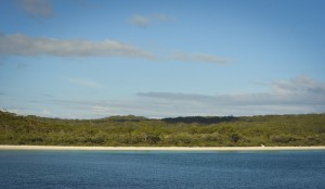 The white sands and lush vegetation of Jervis Bay. Photo credit M.Jenner
