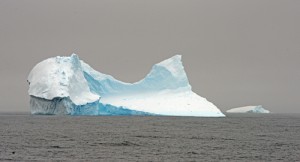 Another fantastic iceberg – they are all gorgeous and special! Photo credit M. Jenner