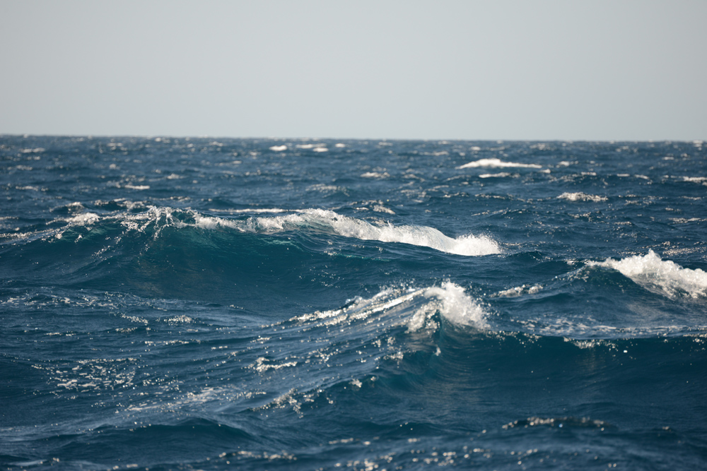 Gusty easterlies are sending us home with beautiful sploshing waves - what are waves?