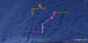 Tracks of Captain Hook (Magenta), Scar Face (White) and Ken (Orange) over the past week. The red dots indicate their latest positions (yesterday). (Images courtesy of Russ Andrews)