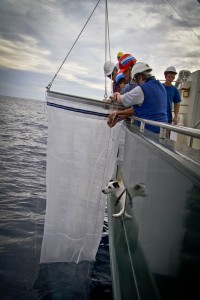 Skipper supervising the deployment of the vertical tow net.  Photo credit I. Ford