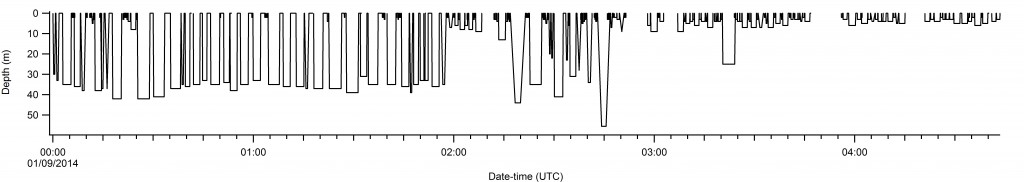 This graph shows dive profiles for the first tagged humpback, over a 4.5 hr time period. The humpback, nicknamed ‘Round’, made multiple dives over 30m and one dive to a depth greater than 50m. CWR followed ‘Round’ whilst collecting krill density data with a calibrated echo-sounder. Krill is the whale’s primary food source and during this time a 10km2 swarm of krill was recorded at depths of between 15-100m.