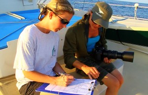 Photo credit I. Ford