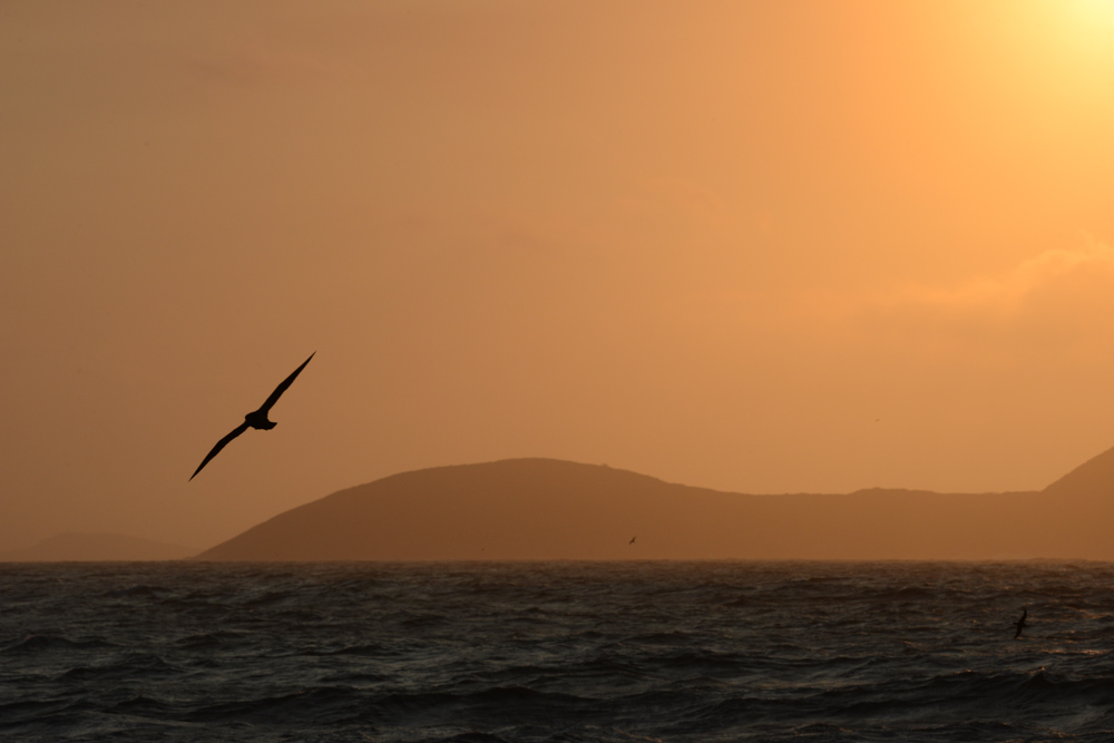 Shearwater Silhouette. Rounded knolls of granite pepper our vista in this beautiful region.