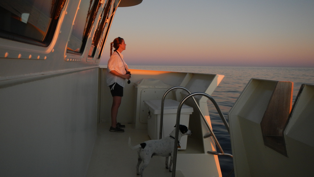 Throughout the pink hues of near sundown, Carrie and Skipper continued to look for any interesting critters!