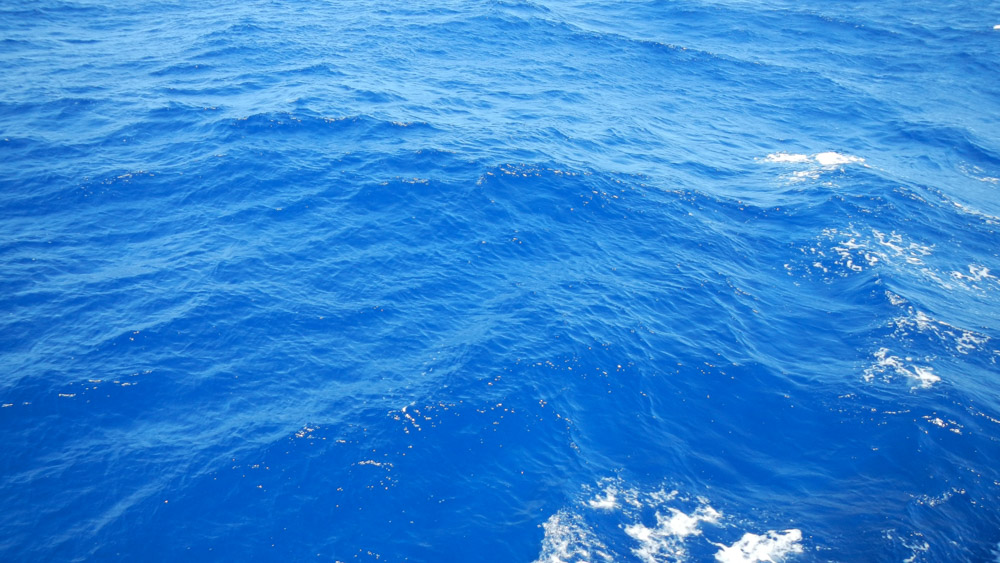 Impossibly blue water. We are constantly looking for cetaceans in this unbelievably gorgeous sea.