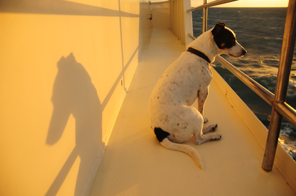 Meet Skipper and his alter ego!