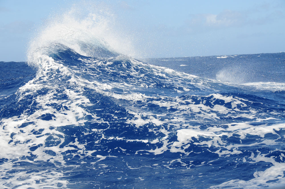 Waves are Up! The swell and wind waves have returned. I love it any which way they are served!