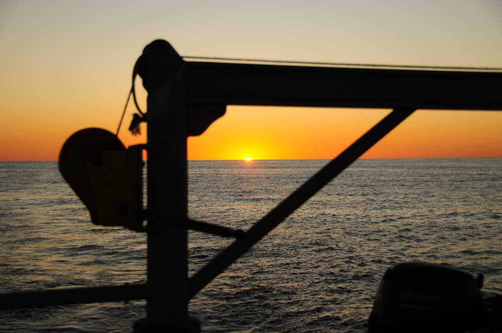 Dawn heralded a busy day with two loggers to grapple from the seafloor. 