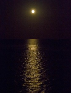 Moonlit sea.Photo credit I.Ford