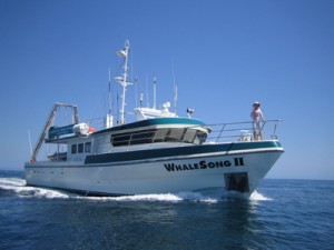 RV WhaleSong II on survey off the Ningaloo Reef! Photo: Kim Onton